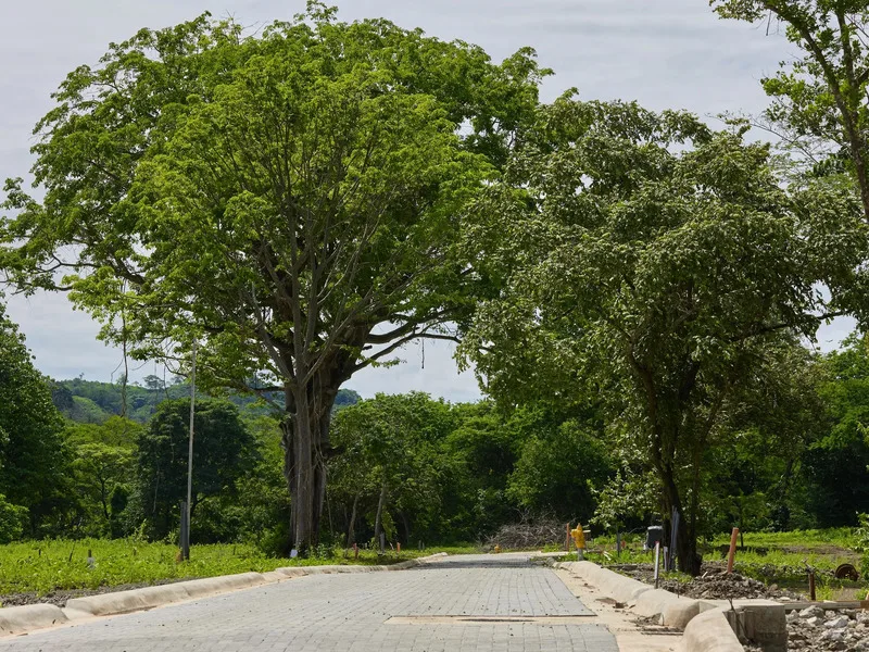 Land For Sale in Avellanas, photo 13