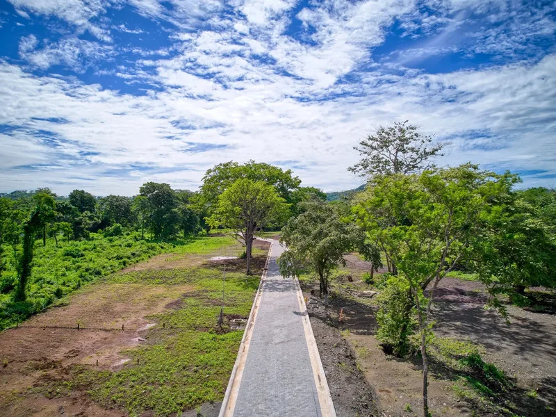 Land For Sale in Avellanas, photo 3