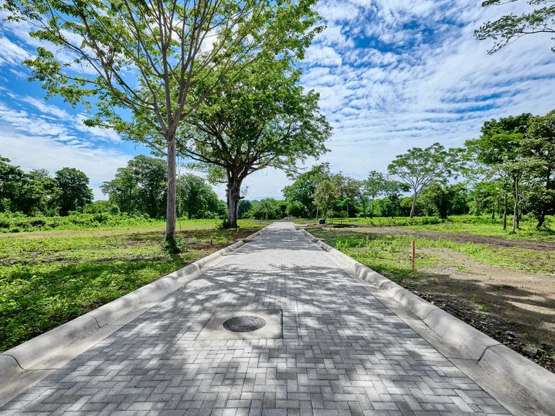 Land For Sale in Avellanas, photo 5