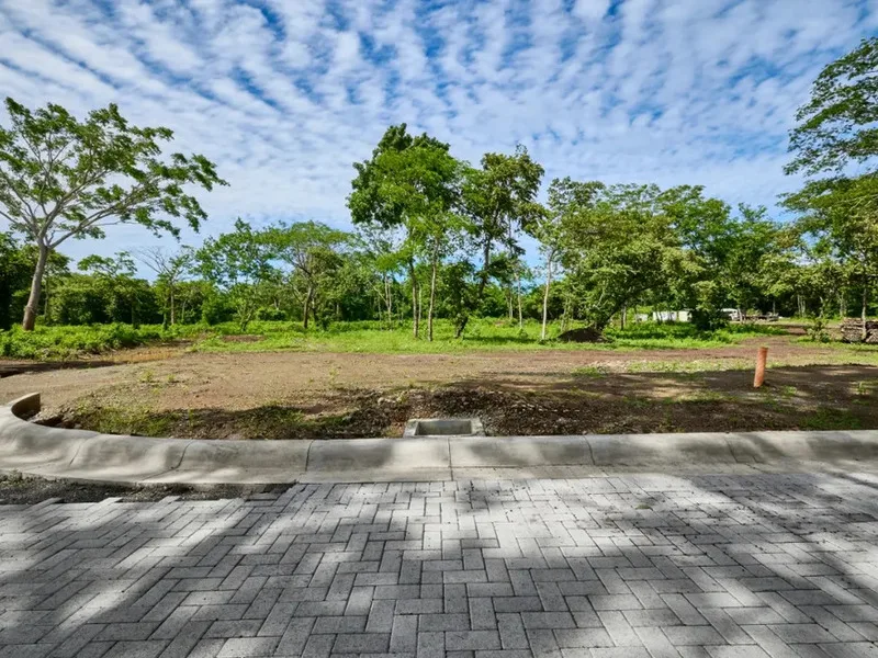 Land For Sale in Avellanas, photo 7