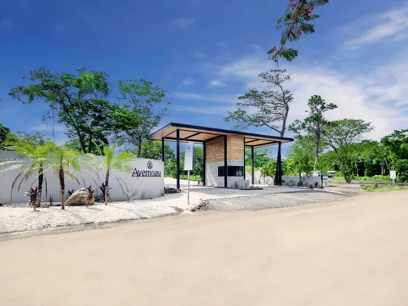 Land For Sale in Avellanas, photo 8