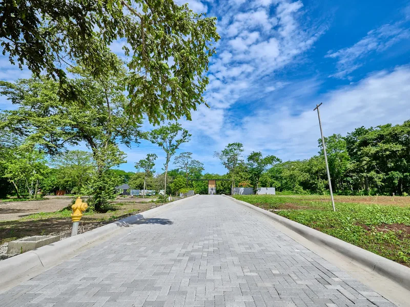 Land For Sale in Avellanas, photo 9
