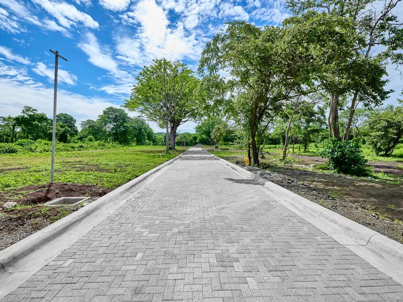 Land For Sale in Avellanas, photo 10