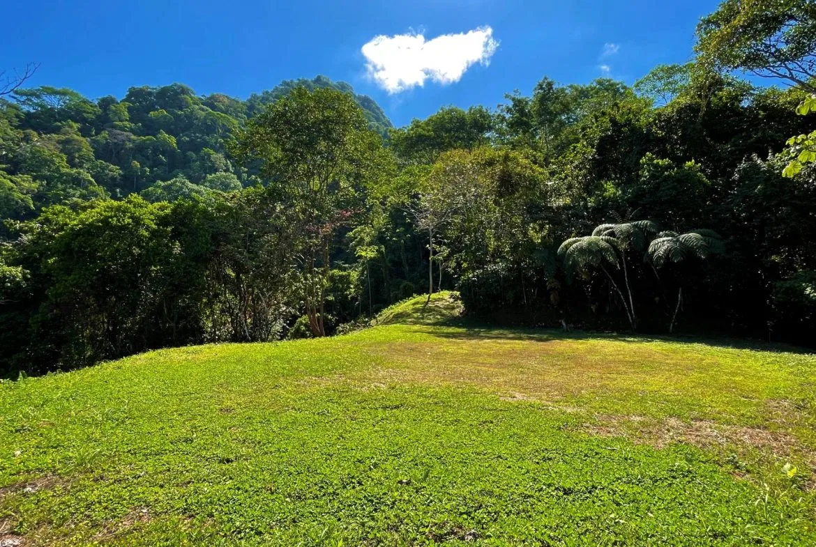 PROPERTY WITH SUNSETH VIEW IN 3 RIOS – 6 ACRES, photo 2