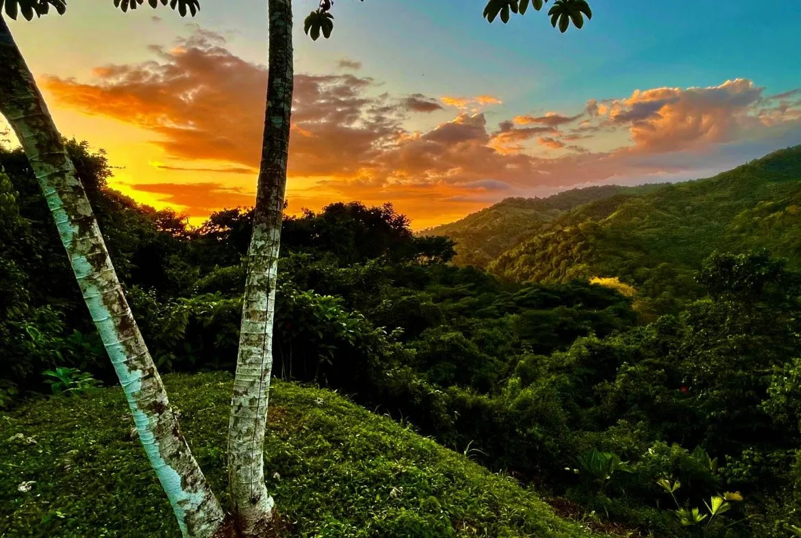 PROPERTY WITH SUNSETH VIEW IN 3 RIOS – 6 ACRES, photo 12