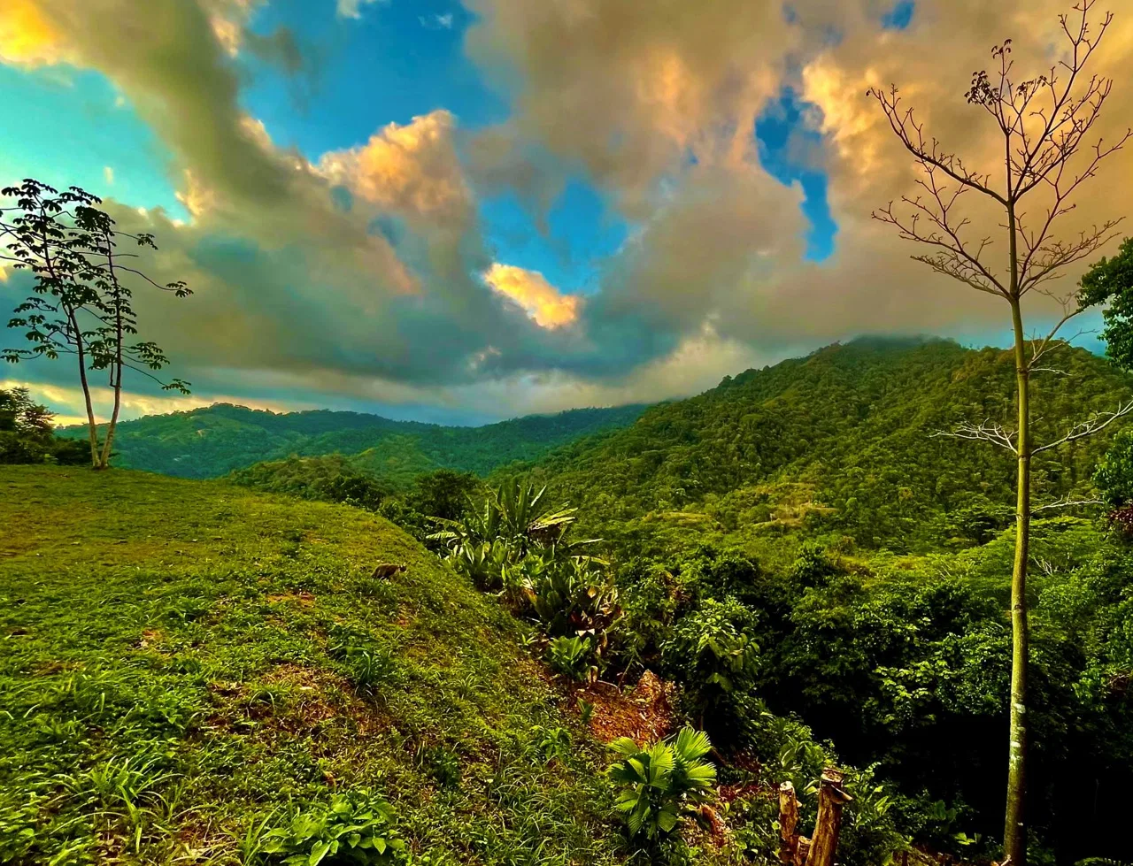 PROPERTY WITH SUNSETH VIEW IN 3 RIOS – 6 ACRES, photo 13