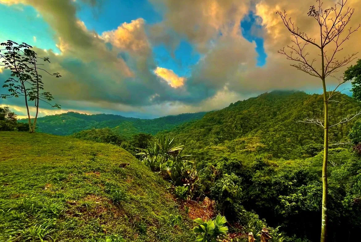 PROPERTY WITH SUNSETH VIEW IN 3 RIOS – 6 ACRES, photo 14