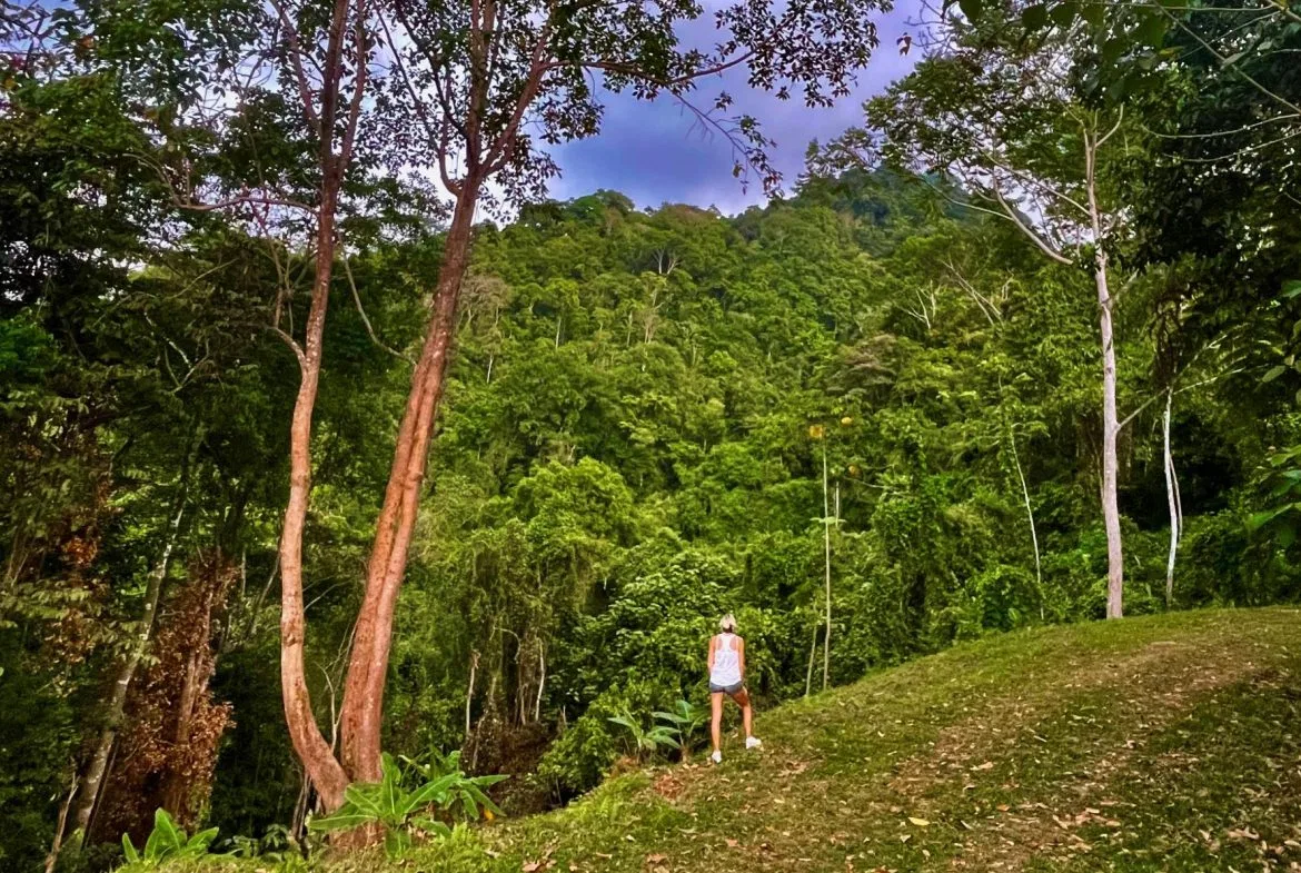 PROPERTY WITH SUNSETH VIEW IN 3 RIOS – 6 ACRES, photo 18