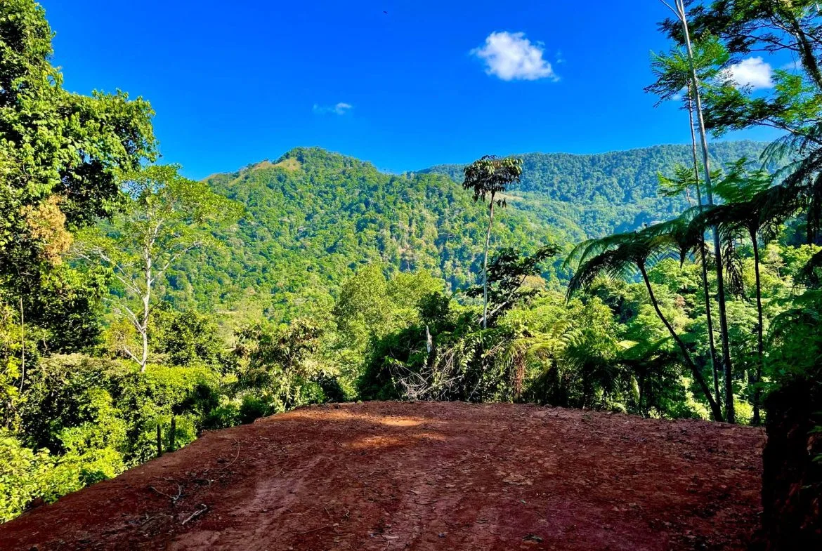 PROPERTY WITH SUNSETH VIEW IN 3 RIOS – 6 ACRES, photo 8
