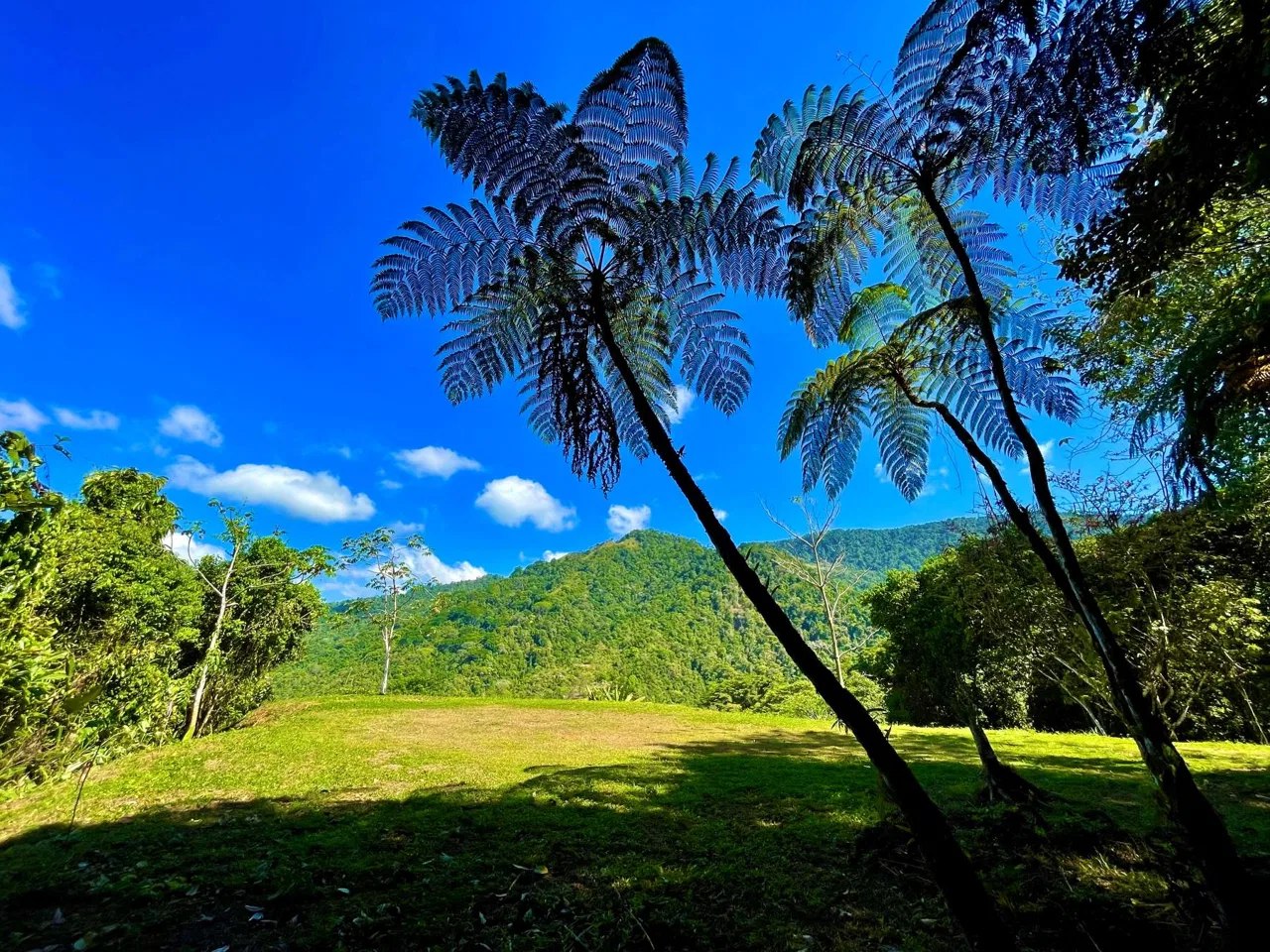 PROPERTY WITH SUNSETH VIEW IN 3 RIOS – 6 ACRES, photo 9