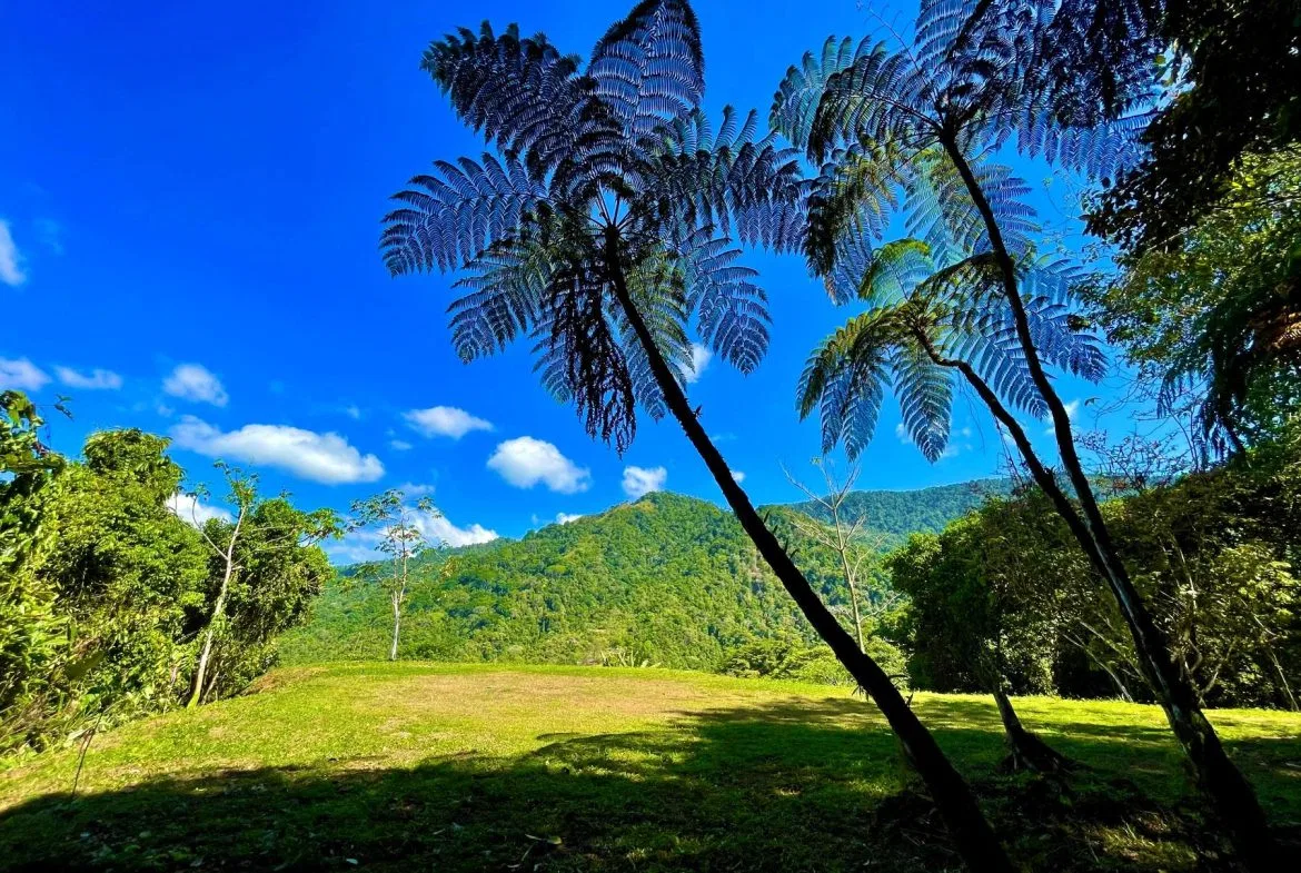 PROPERTY WITH SUNSETH VIEW IN 3 RIOS – 6 ACRES, photo 10
