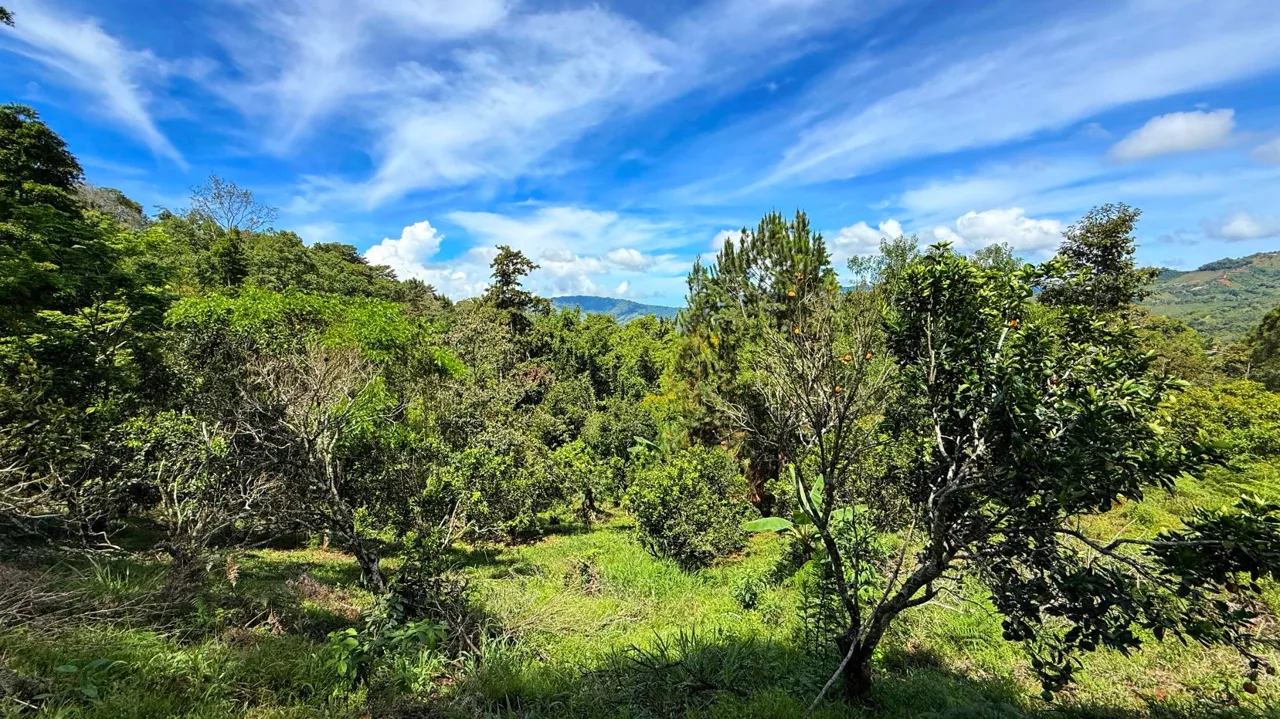 San Rafael Norte Lot for Sale: Private Oasis with Spring, photo 15