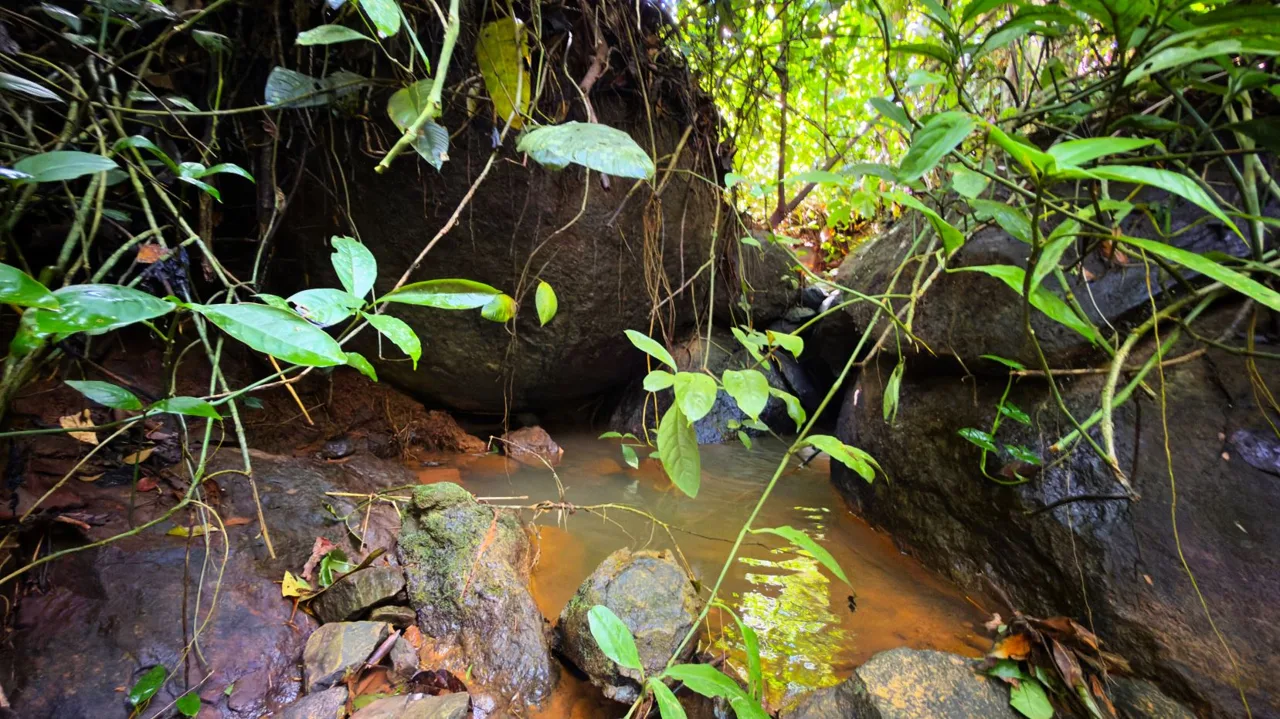 San Rafael Norte Lot for Sale: Private Oasis with Spring, photo 8