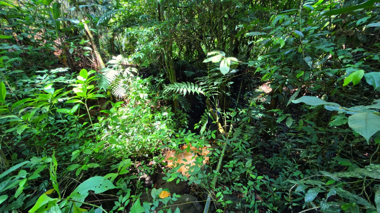 San Rafael Norte Lot for Sale: Private Oasis with Spring, photo 9