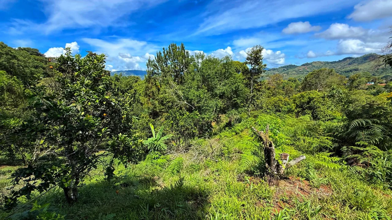 San Rafael Norte Lot for Sale: Private Oasis with Spring, photo 10