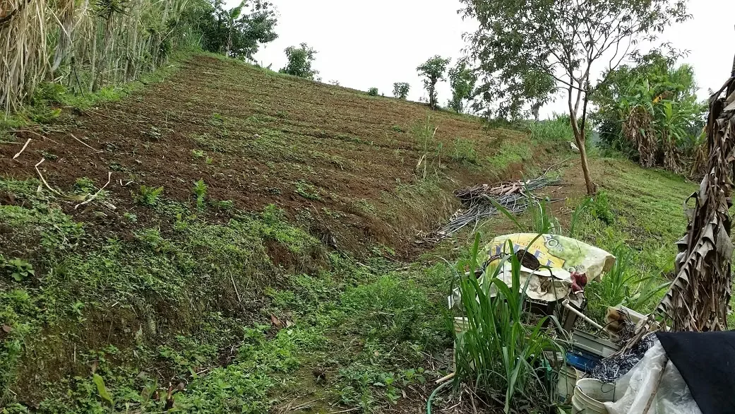 Terreno en Venta en San Antonio de Escazú