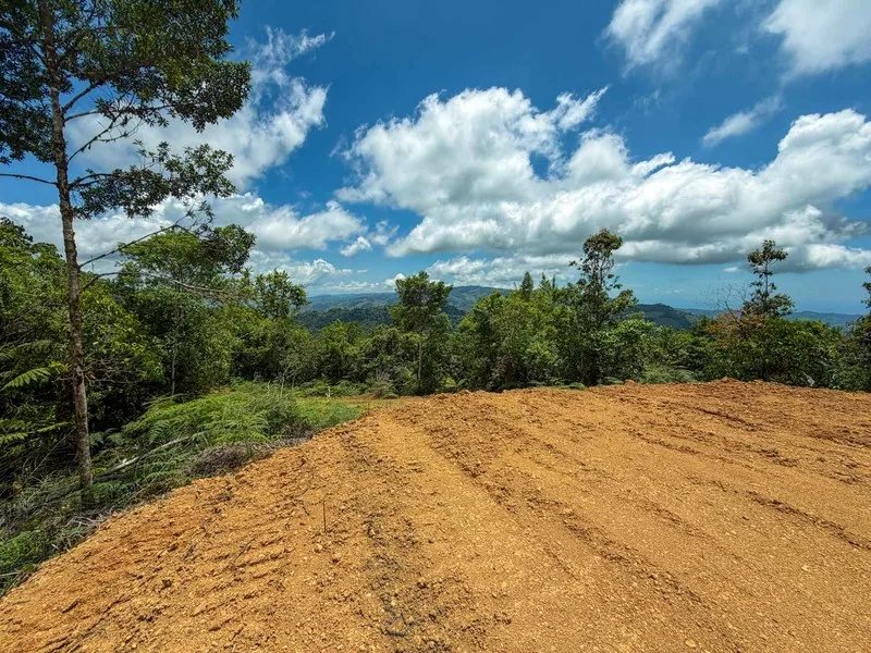 Land For Sale in Perez Zeledon, photo 5
