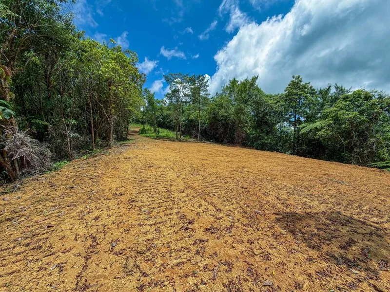 Land For Sale in Perez Zeledon, photo 7