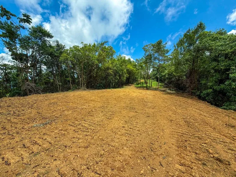 Land For Sale in Perez Zeledon, photo 9