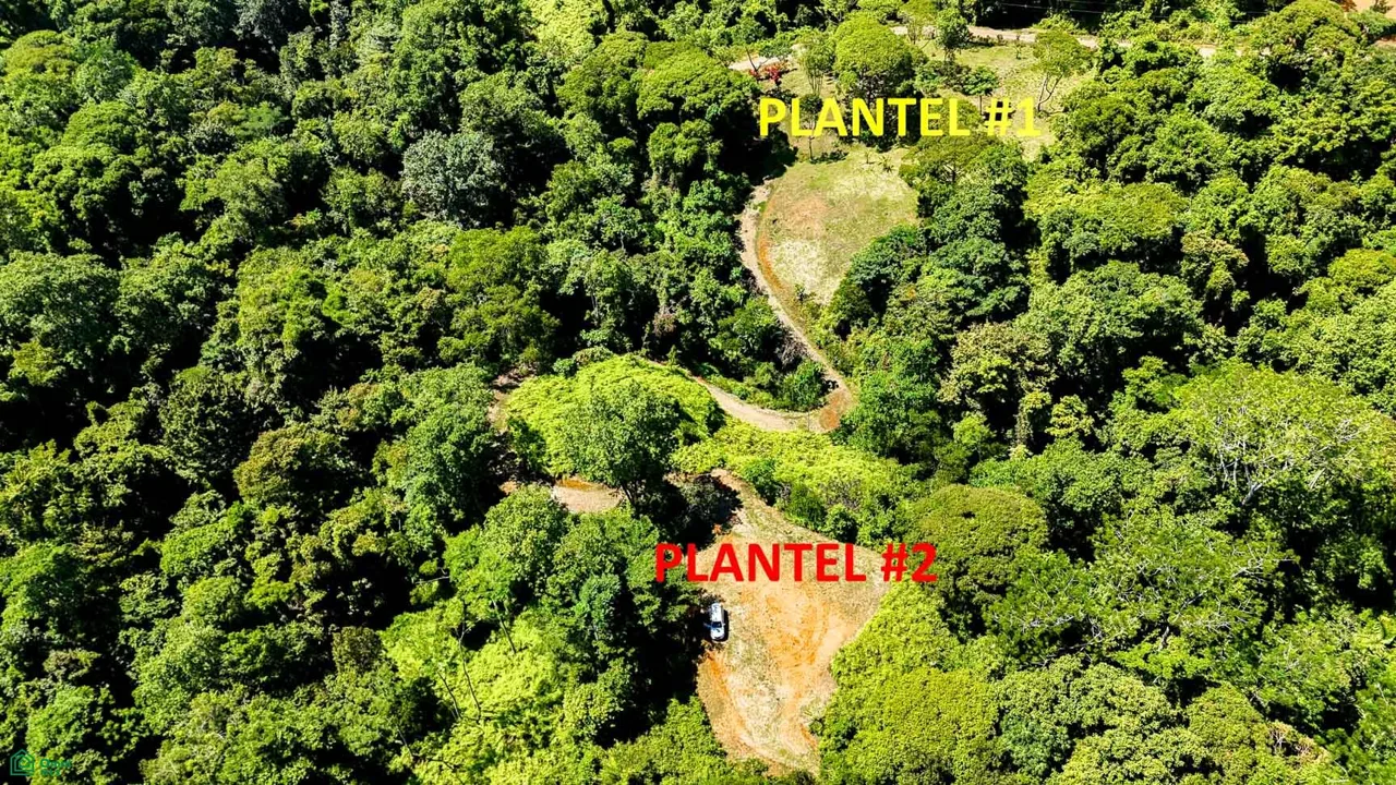 Terreno selvático en venta cerca de Ojochal | Costa Azul, Costa Rica