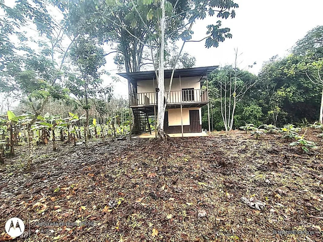 For sale Lot with house La Fortuna Los Angeles, photo 7