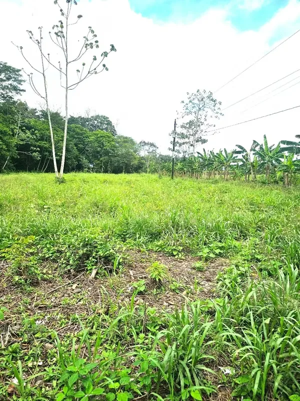 For sale Lot with house La Fortuna Los Angeles, photo 9