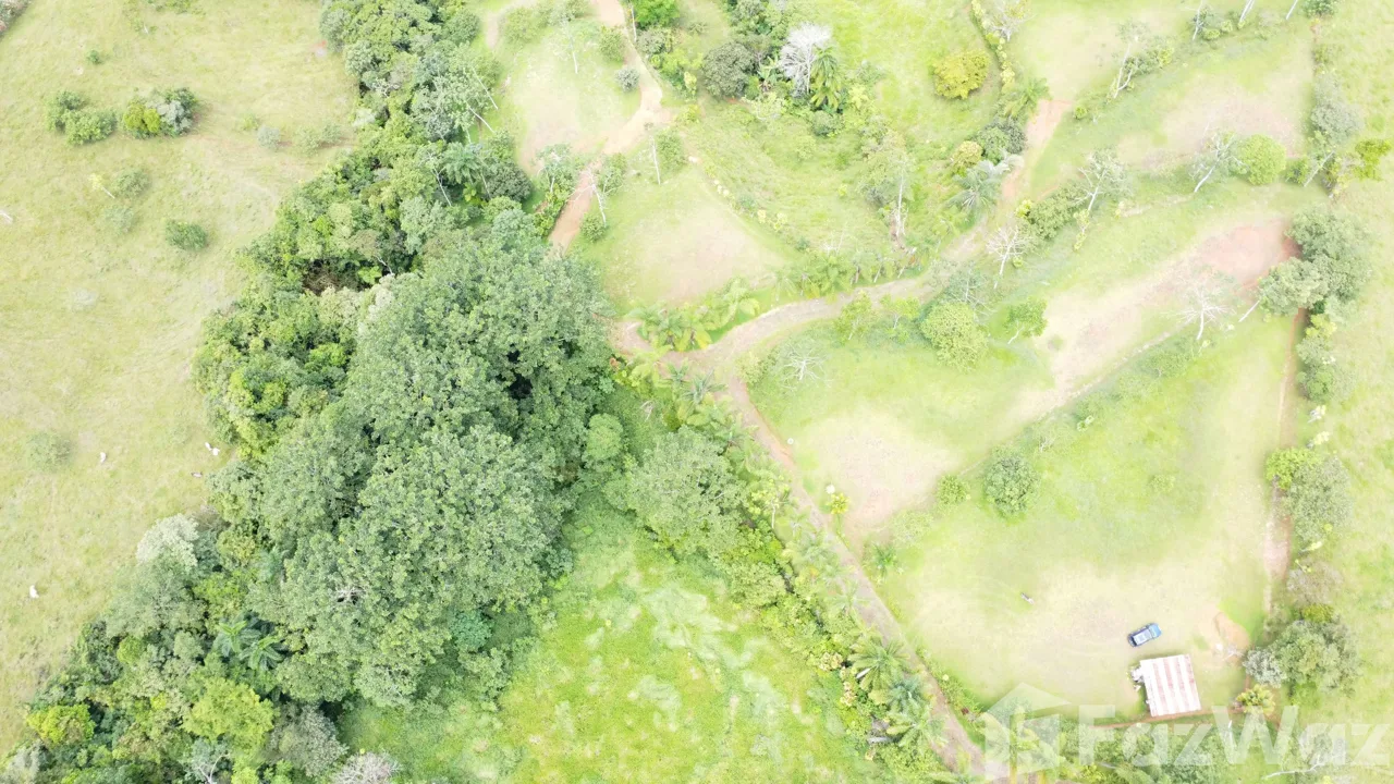 Land for Sale in Perez Zeledon, San Jose for $159,999, photo 4
