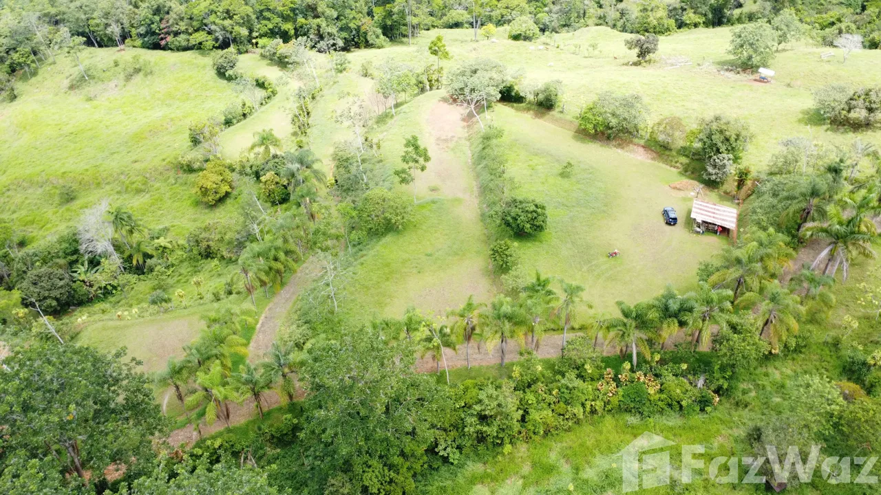 Land for Sale in Perez Zeledon, San Jose for $159,999, photo 5
