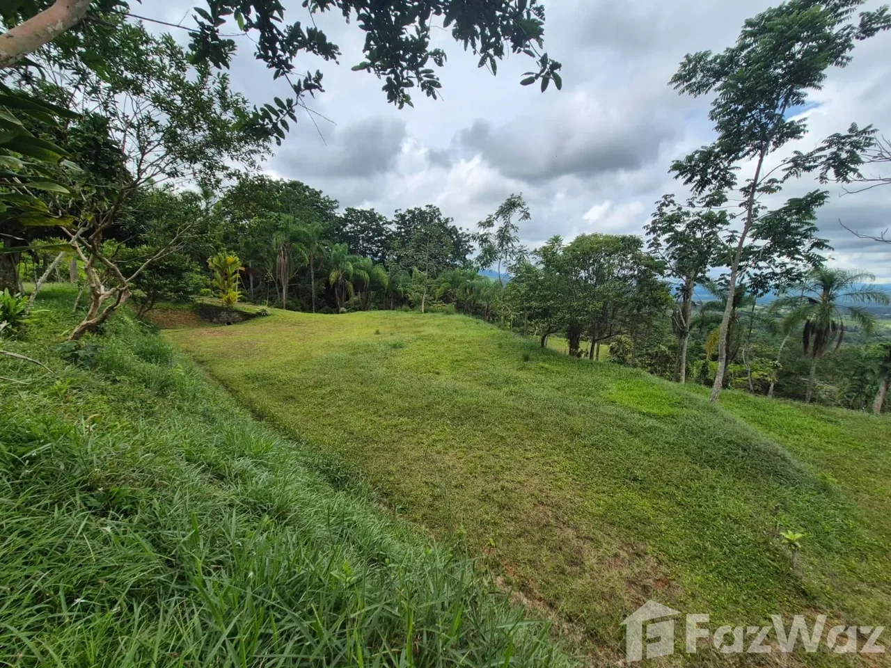 Land for Sale in Perez Zeledon, San Jose for $159,999, photo 9