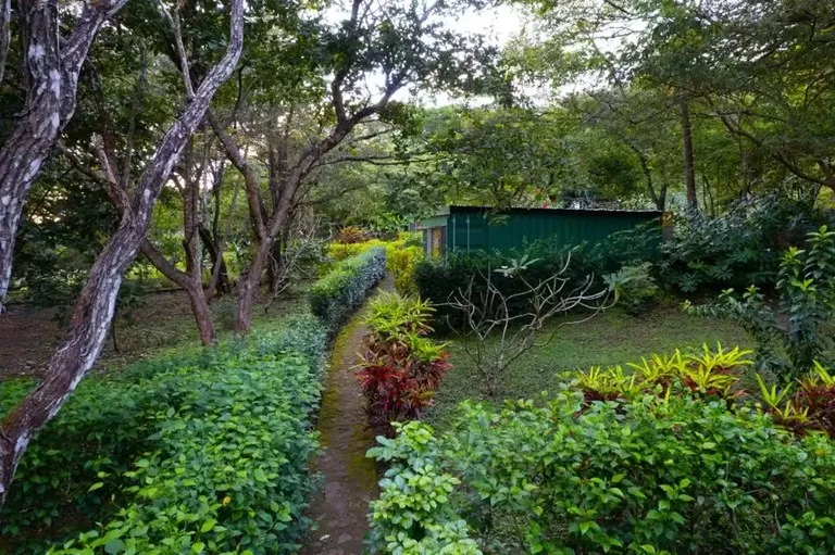 Countryside and Mountain Property For Sale in Curubandé, photo 8