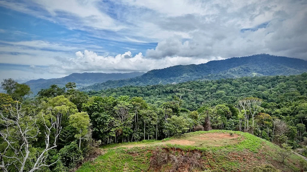 OCEAN AND MOUNTAIN  VIEW LOT 2.5 ACRES IN UVITA, photo 5
