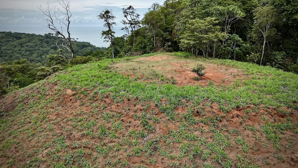 OCEAN AND MOUNTAIN  VIEW LOT 2.5 ACRES IN UVITA, photo 7