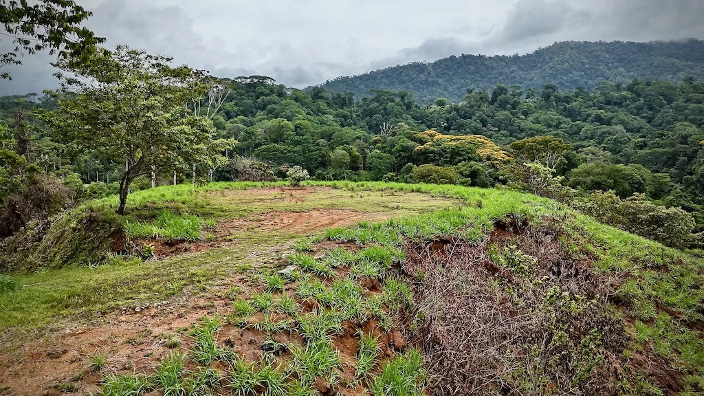 OCEAN AND MOUNTAIN  VIEW LOT 2.5 ACRES IN UVITA, photo 8