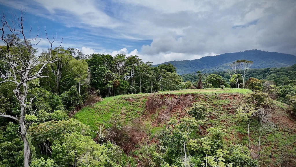 OCEAN AND MOUNTAIN  VIEW LOT 2.5 ACRES IN UVITA, photo 9