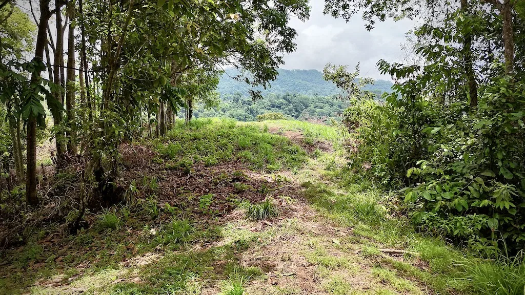OCEAN AND MOUNTAIN  VIEW LOT 2.5 ACRES IN UVITA, photo 10