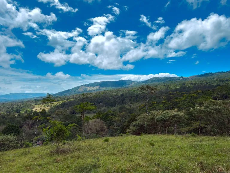 Agricultural Land in Aguas Claras, photo 5