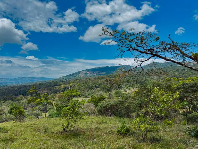 Agricultural Land in Aguas Claras, photo 6