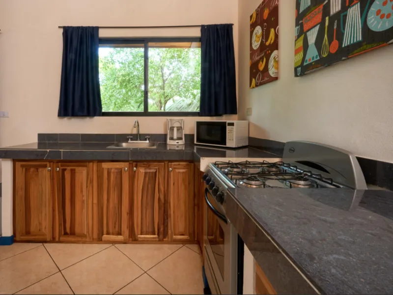 10 Bed Hotel / Leisure For Sale in Tamarindo, photo 12