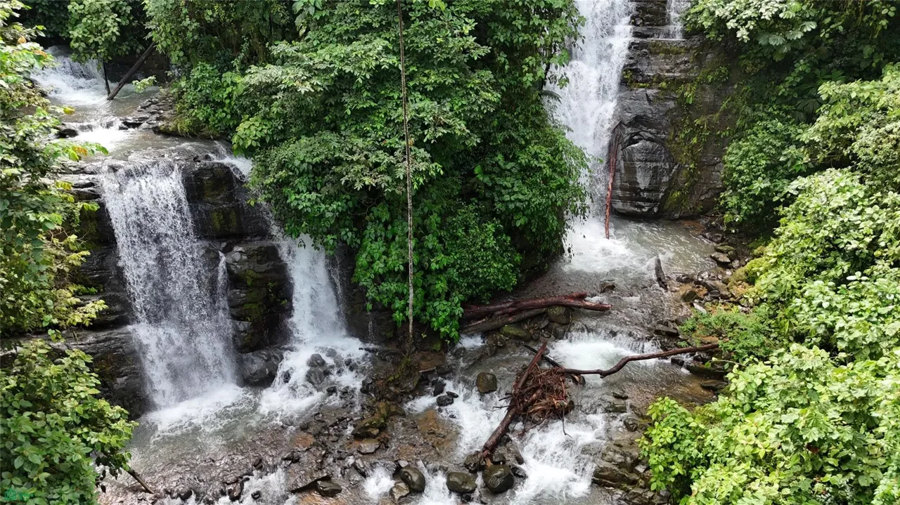 Waterfall Estate, Dos Bocas, Springs, Dominical, Puntarenas, Puntarenas 60602