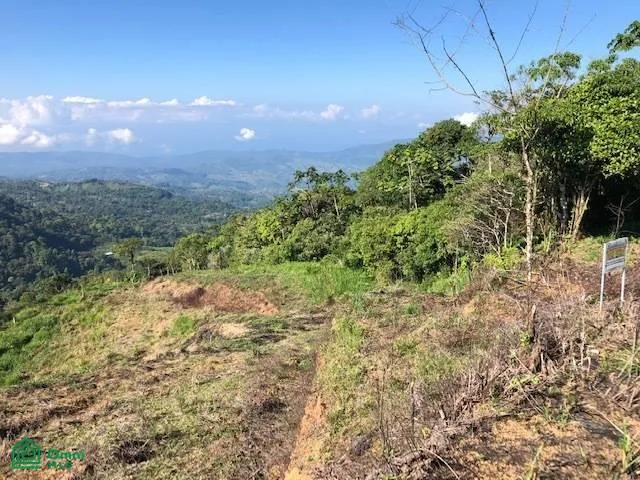 1.24 ACRES – Alto de San Juan, VISTAS IMPRESIONANTES DEL MUNDO!, photo 5