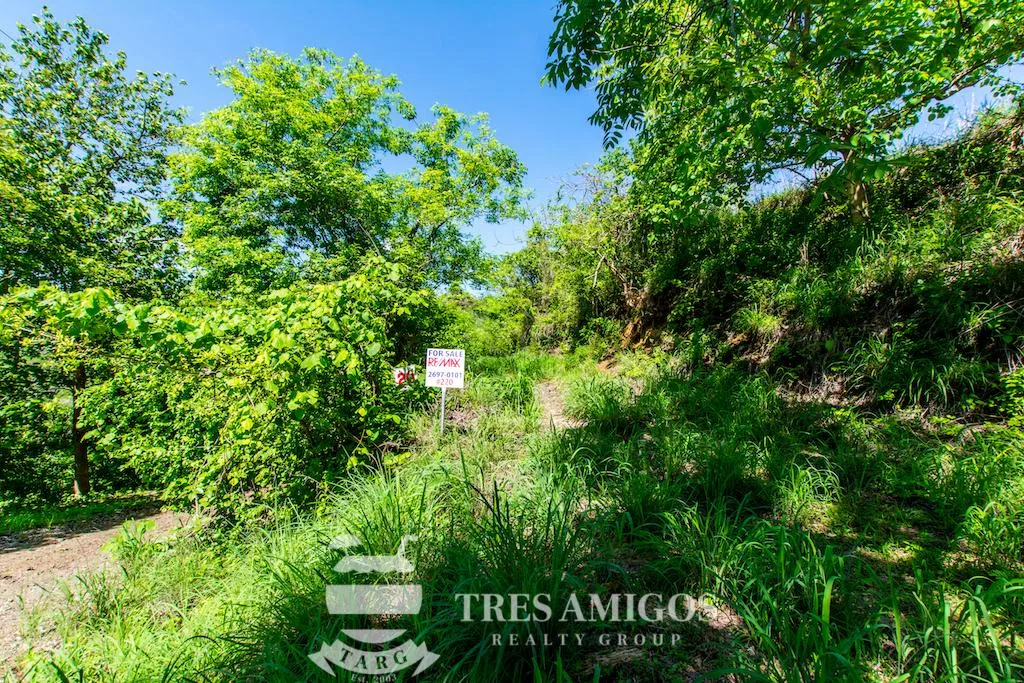 Lomas del Mar Lot 220, photo 2
