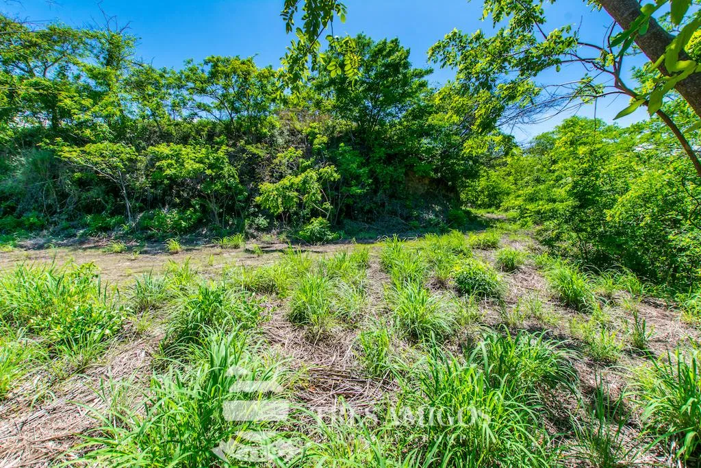 Lomas del Mar Lot 220, photo 5