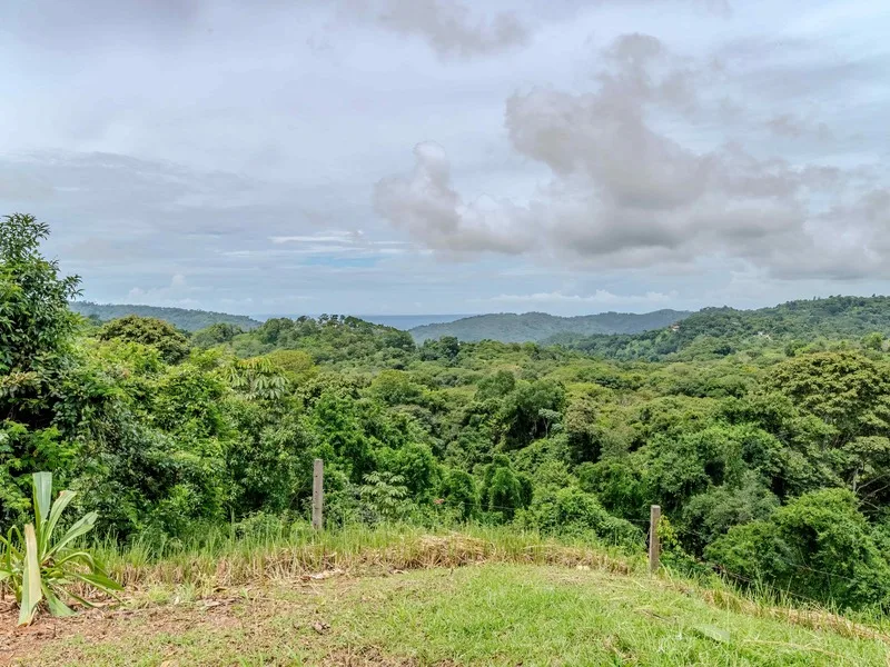 2 Bed Single Family Homes For Sale in Perez Zeledon, photo 4