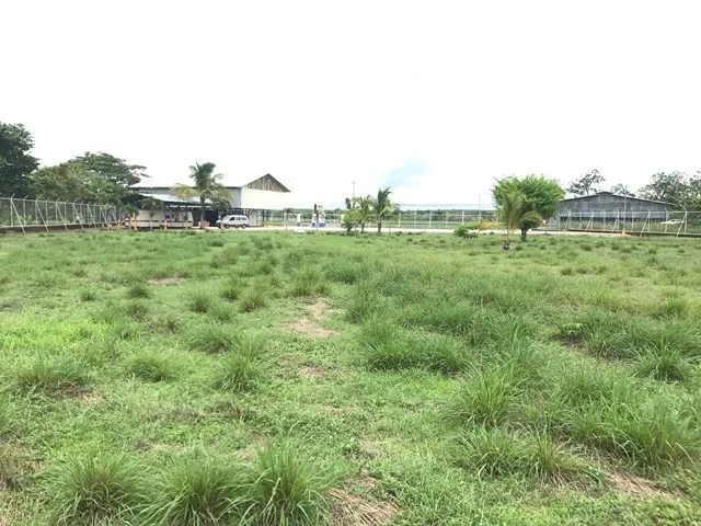 Strip Center Unit in Guardia