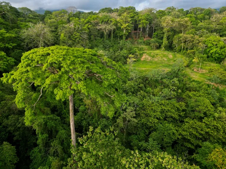Build Your Vision in Uvita – 15.9 Ocean View Acres with Easy Access + Utilities Ready!, photo 2
