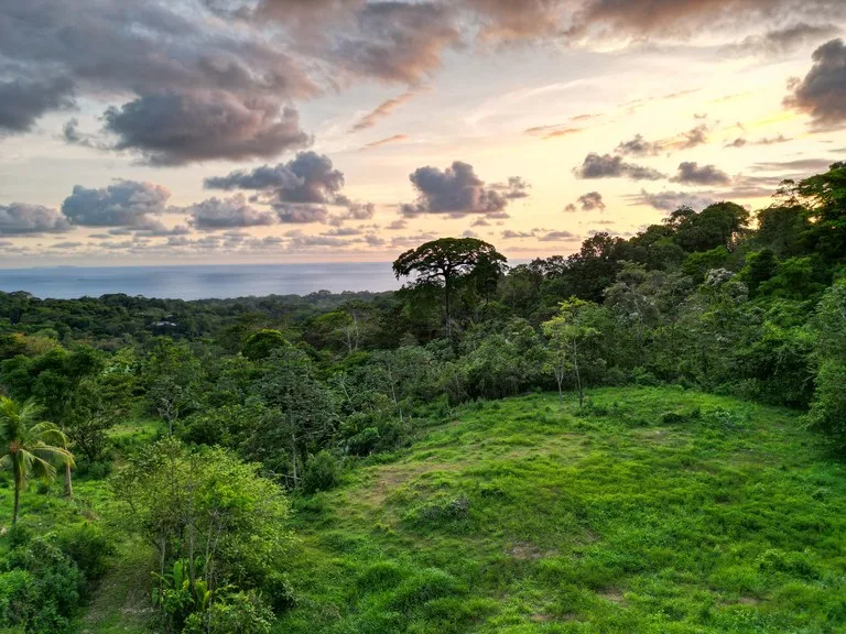 Build Your Vision in Uvita – 15.9 Ocean View Acres with Easy Access + Utilities Ready!, photo 5