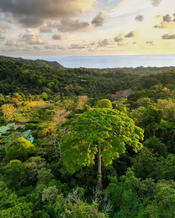 Build Your Vision in Uvita – 15.9 Ocean View Acres with Easy Access + Utilities Ready!, photo 6