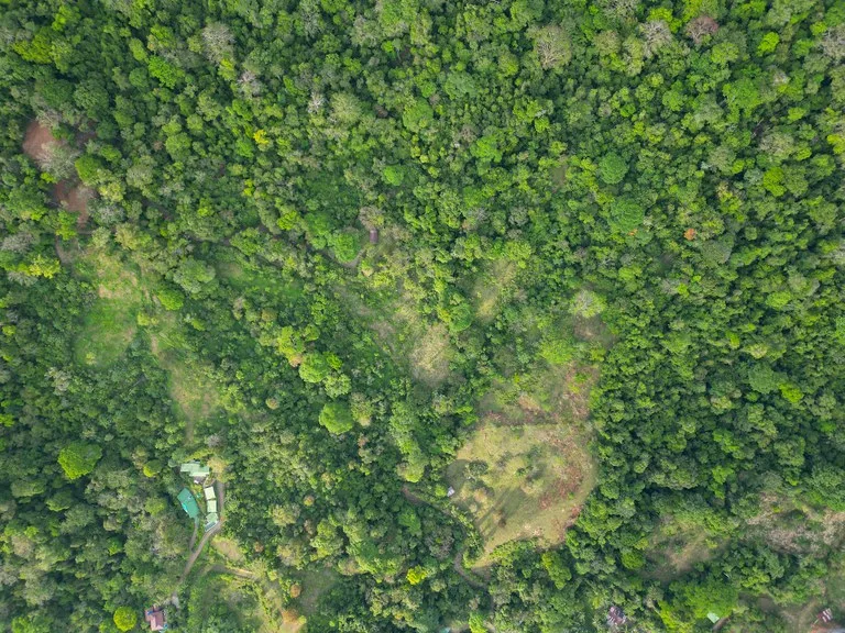 Build Your Vision in Uvita – 15.9 Ocean View Acres with Easy Access + Utilities Ready!, photo 8