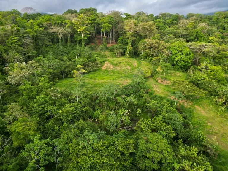 Build Your Vision in Uvita – 15.9 Ocean View Acres with Easy Access + Utilities Ready!, photo 10
