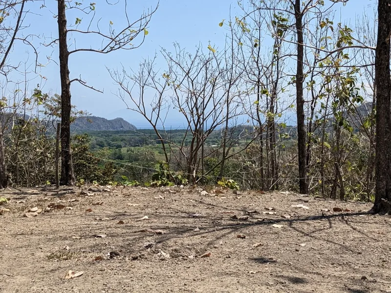 Land For Sale in Paquera, photo 11